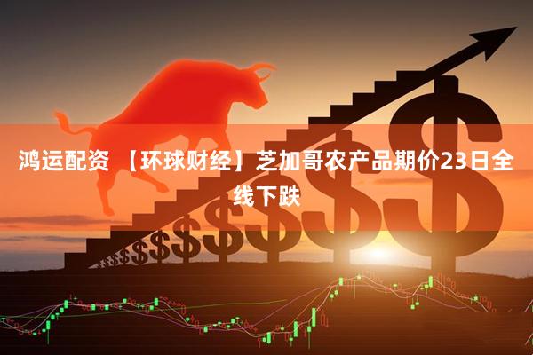 鸿运配资 【环球财经】芝加哥农产品期价23日全线下跌