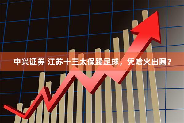 中兴证券 江苏十三太保踢足球，凭啥火出圈？