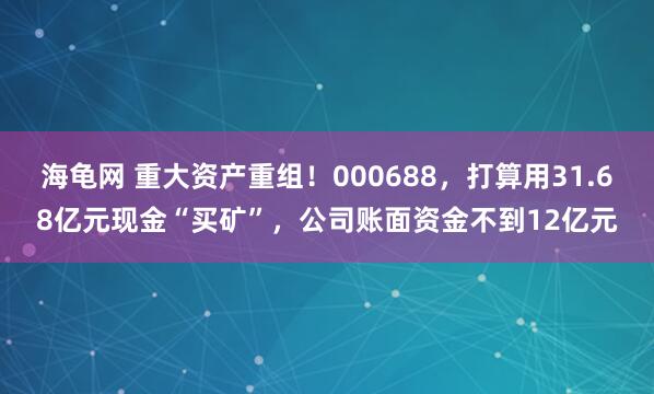 海龟网 重大资产重组！000688，打算用31.68亿元现金“买矿”，公司账面资金不到12亿元