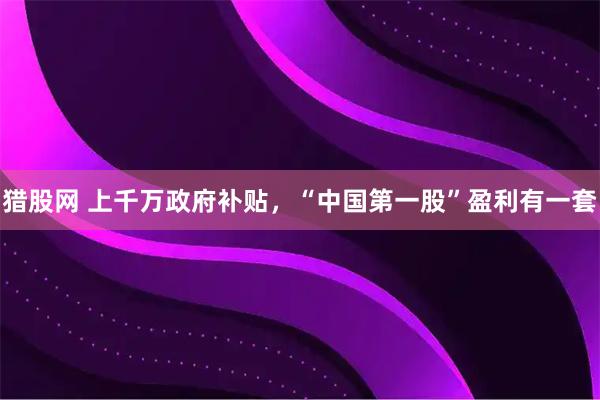 猎股网 上千万政府补贴，“中国第一股”盈利有一套